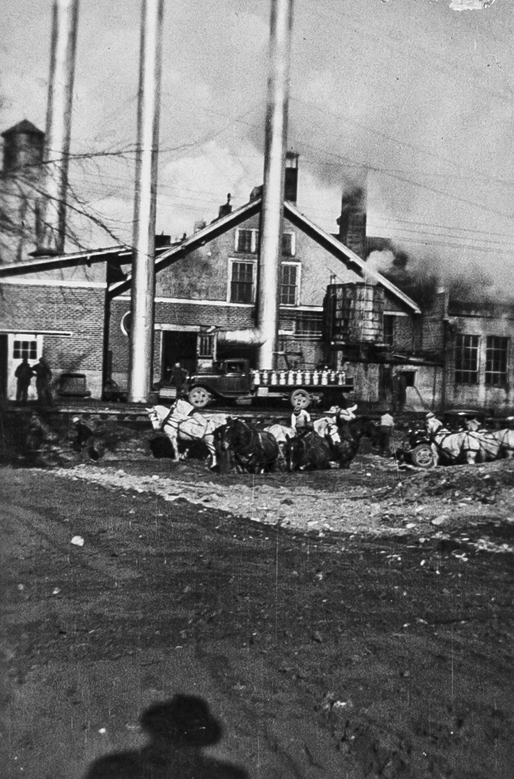 Multiple Horses wait in front of the Meridian Creamery