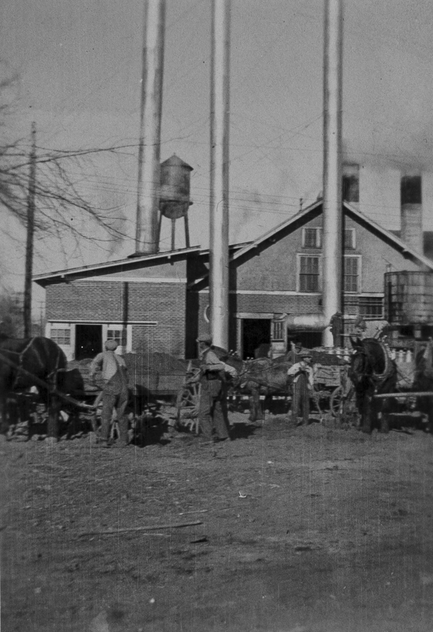 Horses Transport Milk Cans to the Creamery