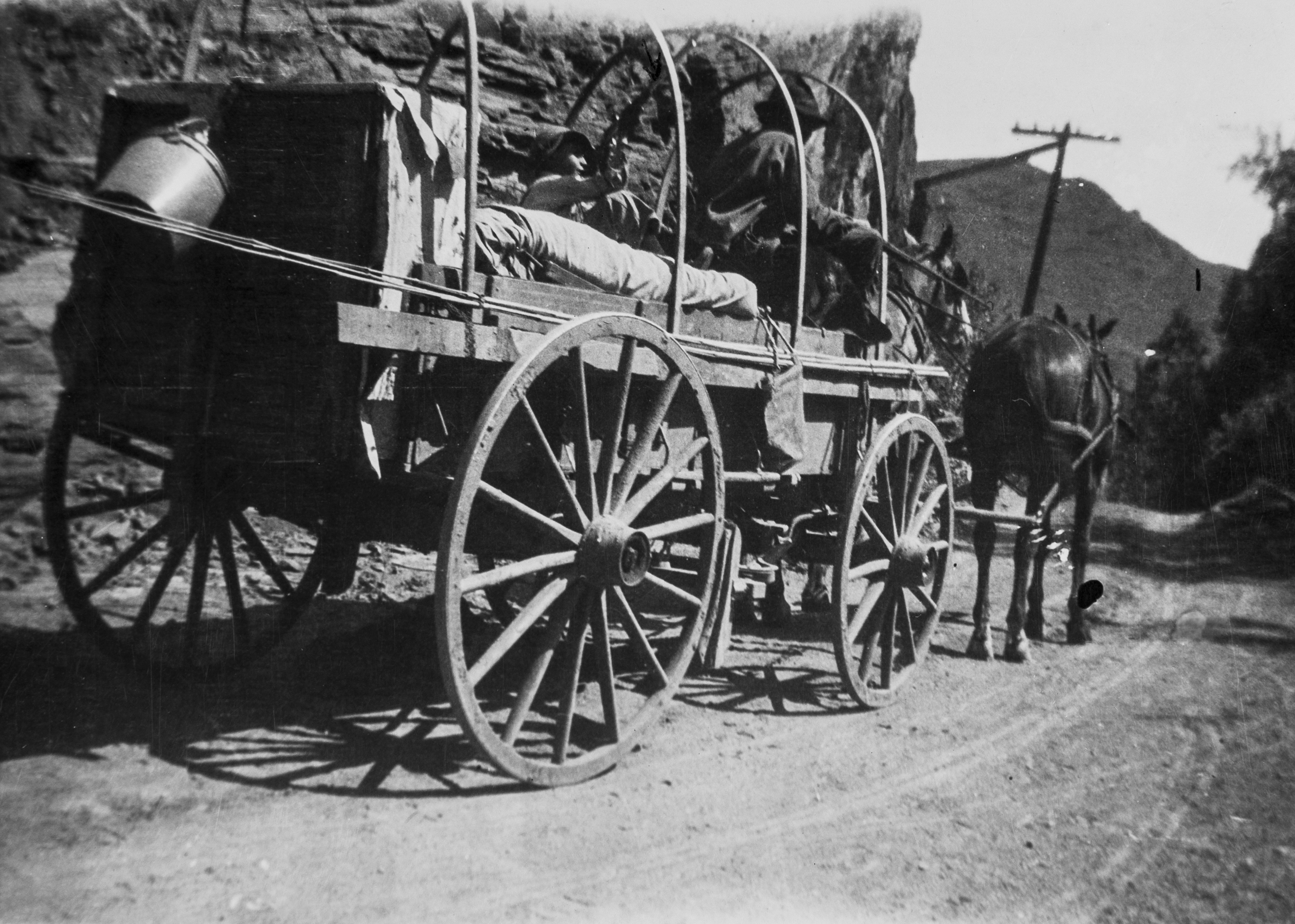 Horse Drawn Wagon to Yellowstone